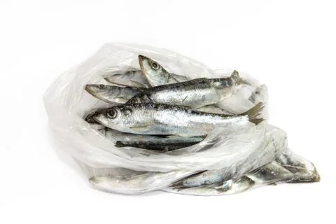 The fish is thawed in a transparent package Stock Photos