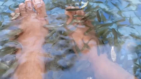 Fish therapy Stock Footage 201764479