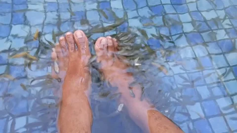 Fish therapy Stock Footage 201764574