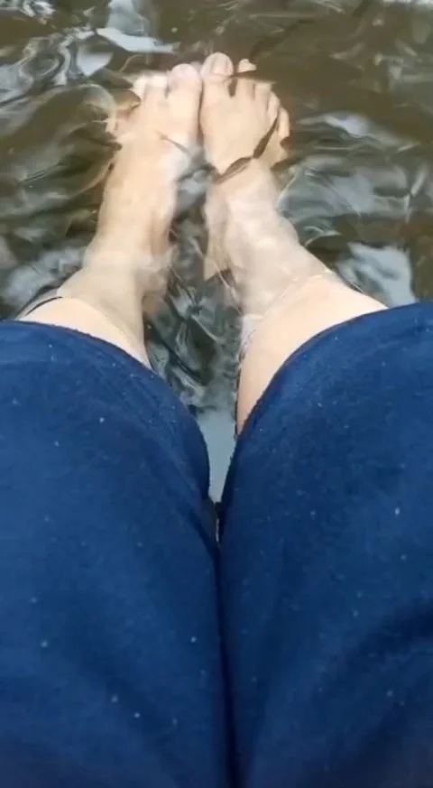 Fish Therapy Video stock 242439994