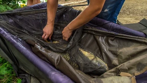 A fish that they just caught is really big Stock Footage 112173756