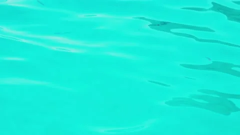 Fish through the reflections in the water Видео 202636097