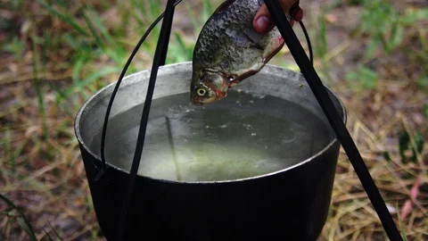 Fish is thrown into the cauldron Video stock 94840501