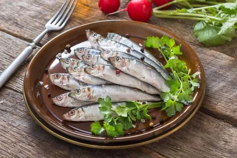 Fish time Stock Photos