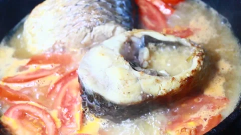 Fish in tomato sauce Stock Footage 302159526