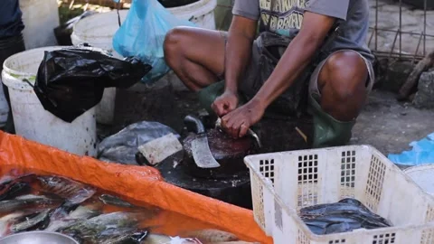Fish trader cleans raw fish with a knife on a cutting board for sell at tra.. Stock Footage 269158265