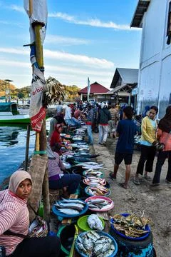 Fish traders offering the fish  Stock Photos