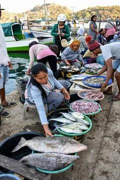 Fish traders offering the fish  Foto stock