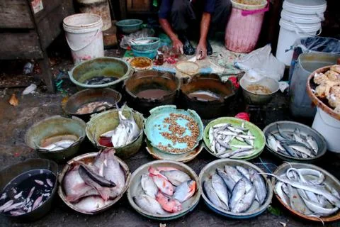 Fish traders when doing activities Stock Photos