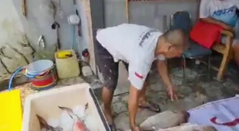 Fish traders who are sorting their wares Stock Footage 289163000