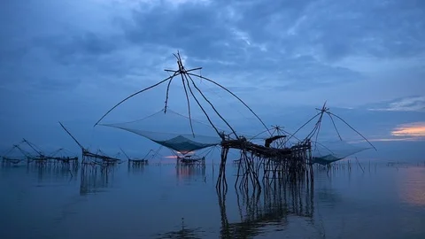 Fish trap in lake Stock Footage 126231018