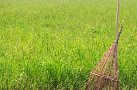 The fish trap Stock Photos