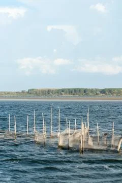 Fish trap Stock Photos
