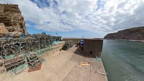 Fish traps, crab pots and lobster posts on the quayside Video stock 247337998