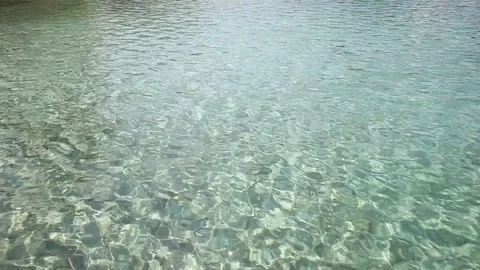 Fish at the tropical sea Stock Footage 79344622