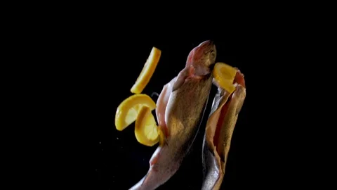 Fish trout hopping on a black background with lemon and ice cubes. Slow motion Stock Footage 105345729