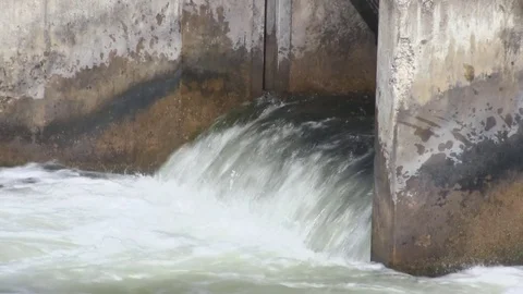 Fish (Trout) Jumping at Weir Dam in Michigan (1 of 10) Stock Footage 81244159