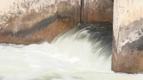 Fish (Trout) Jumping at Weir Dam in Michigan (2 of 10) Stock Footage 81244270