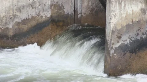 Fish (Trout) Jumping at Weir Dam in Michigan (4 of 10) Stock Footage 81244396