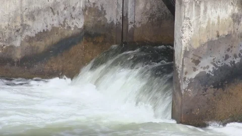 Fish (Trout) Jumping at Weir Dam in Michigan (  5 of 10) Stock Footage 81244593