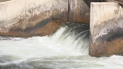 Fish (Trout) Jumping at Weir Dam in Michigan (6 of 10) Stock Footage 81244636