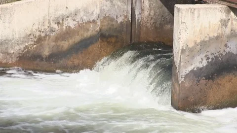 Fish (Trout) Jumping at Weir Dam in Michigan (7 of 10) Video stock 81244716