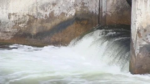 Fish (Trout) Jumping at Weir Dam in Michigan ( 8 of 10) Stock Footage 81244820