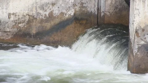 Fish (Trout) Jumping at Weir Dam in Michigan (9 of 10) Video stock 81244961