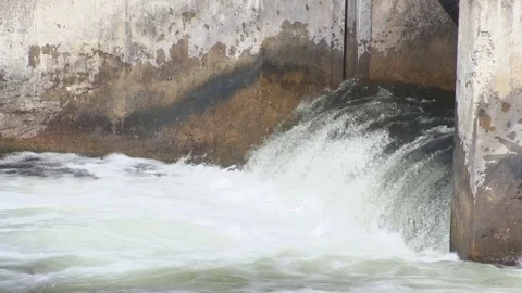 Fish (Trout) Jumping at Weir Dam in Michigan (10 of 10) Stock Footage 81244972