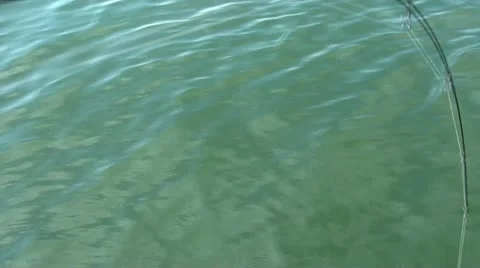 Fish Twists On Line in Sunlight Video stock 12580215