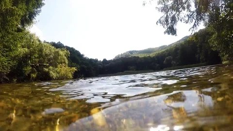 Fish under water in pond Stock Footage 101299239