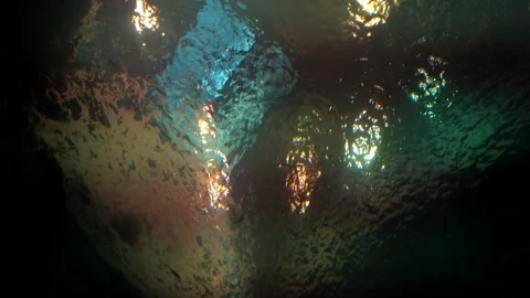 Fish under water of sea, low angle view, beautiful sea and fish swimming Stock Footage 140535814