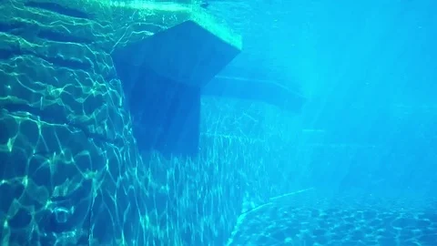 Fish underwater. Stock Footage 71968304