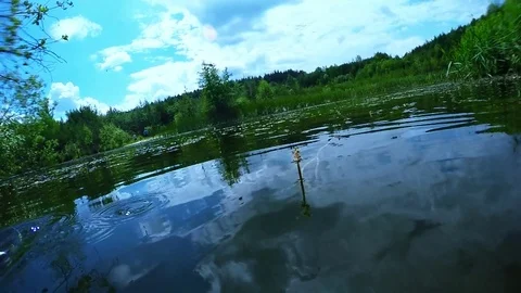 Fish underwater. 스톡 동영상 72089175
