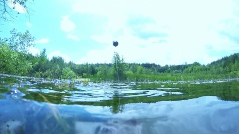 Fish underwater. Stock Footage 72090876