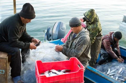 Fish unloading Stock Photos