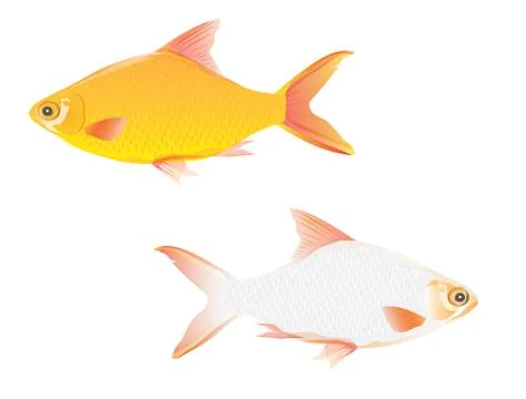 Fish vector design Stock Illustration