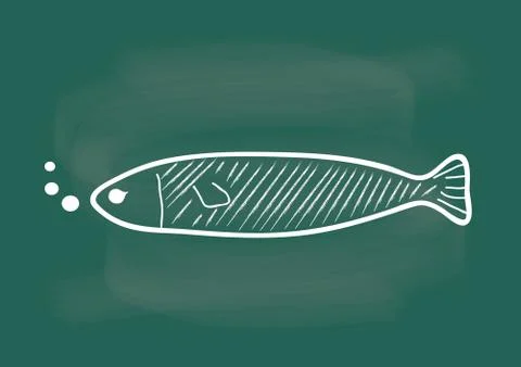 Fish, vector of fish drawing on blackboard chalk 스톡 일러스트