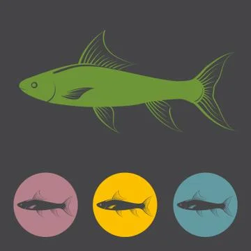 Fish vector Stock Illustration