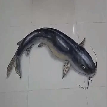 Fish Vector Stock Photos