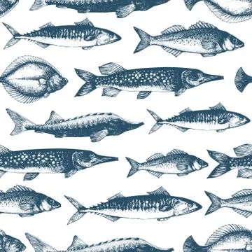 Fish vector seamless pattern for restaurants, emblem, vector image. Retro Stock Illustration