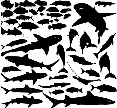 Fish vector set イラスト素材