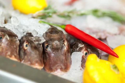 Fish with vegetables on ice. Stock Photos