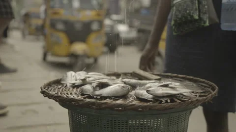 Fish Vendor Stock Footage 338109215