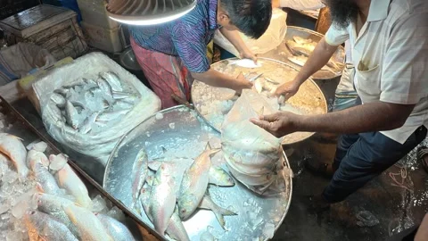 Fish Vendor Packing Fresh Fish for Customers at Kawran Bazar Fish Market, Stock-Footage 343143326