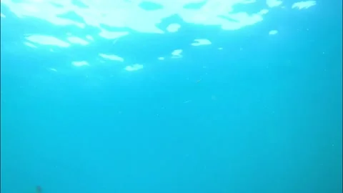 Fish view of the surface Stock Footage 175474564