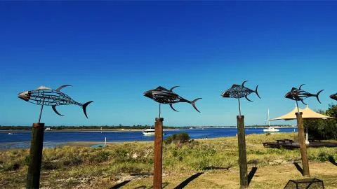 Fish Walk Stock Photos