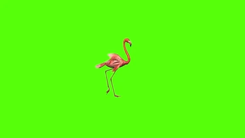 Fish Walking Green Screen Animation 4K Rendering Stock Footage 281392514