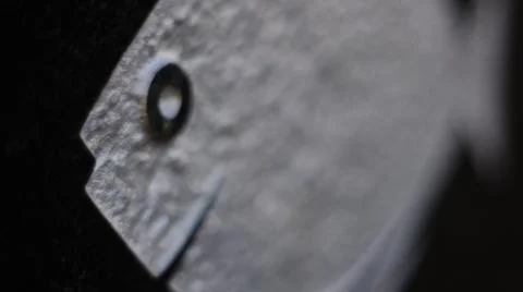 Fish on the wall Stock Photos