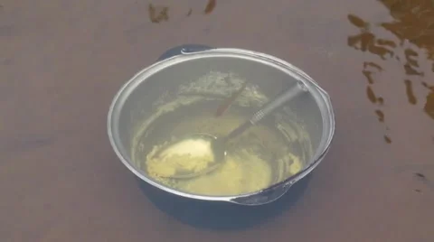 Fish in the water Stock Footage 46214406